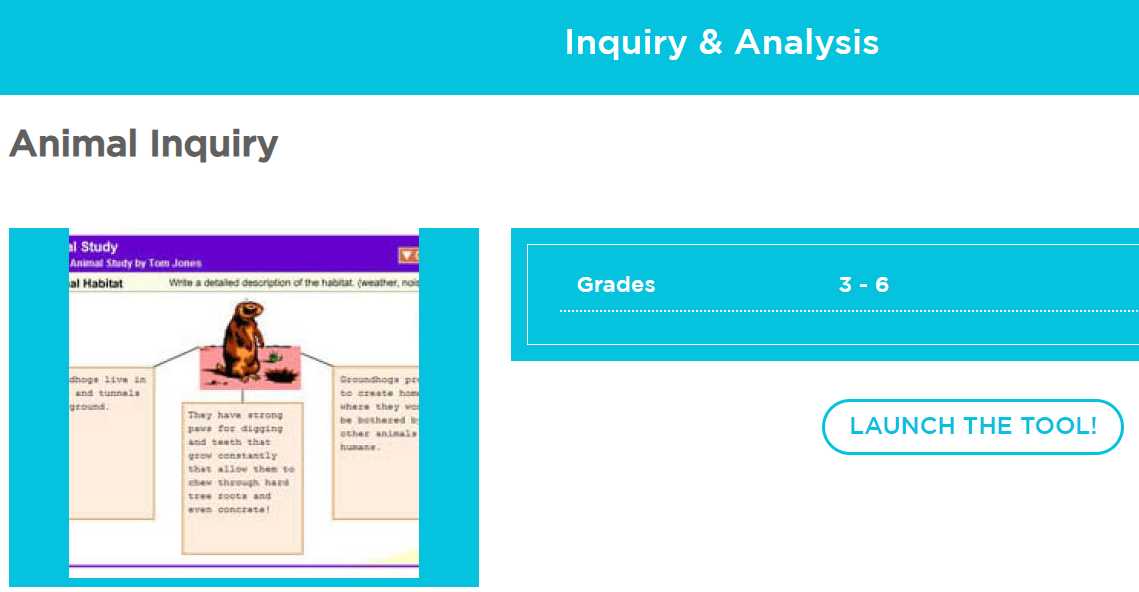 Inquiry & Analysis